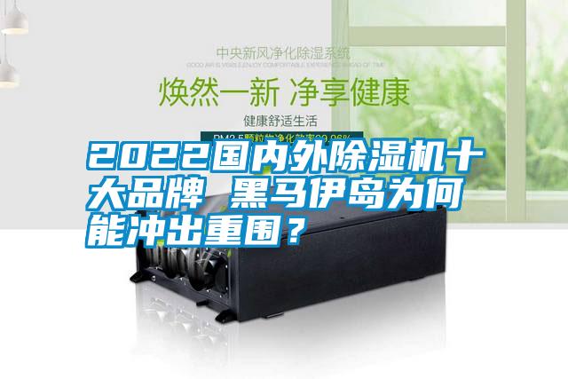 2022国内外除湿机十大品牌 黑马伊岛为何能冲出重围？