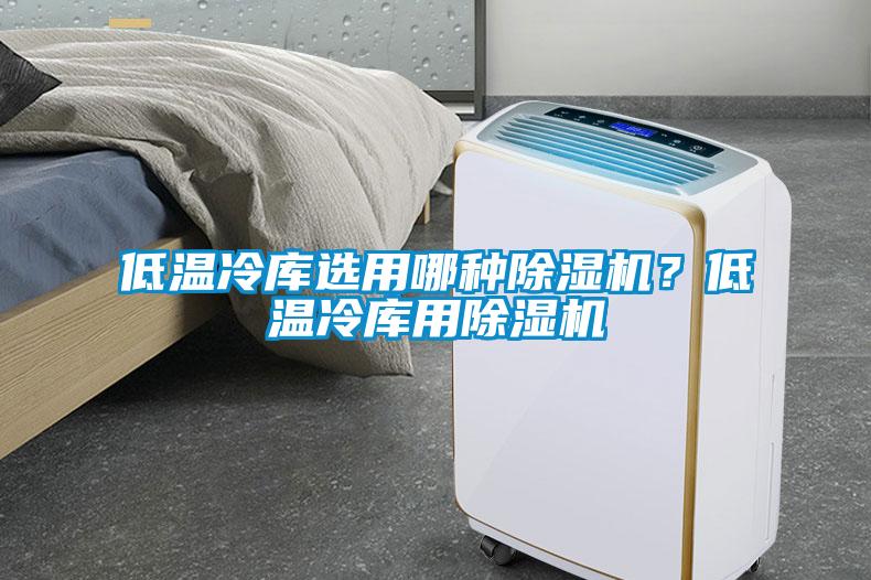 低温冷库选用哪种除湿机？低温冷库用除湿机