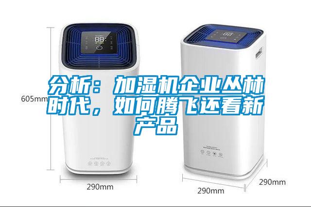 分析：加湿机企业丛林时代，如何腾飞还看新产品