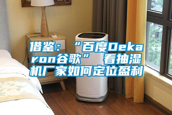 借鉴：“百度Dekaron谷歌” 看抽湿机厂家如何定位盈利