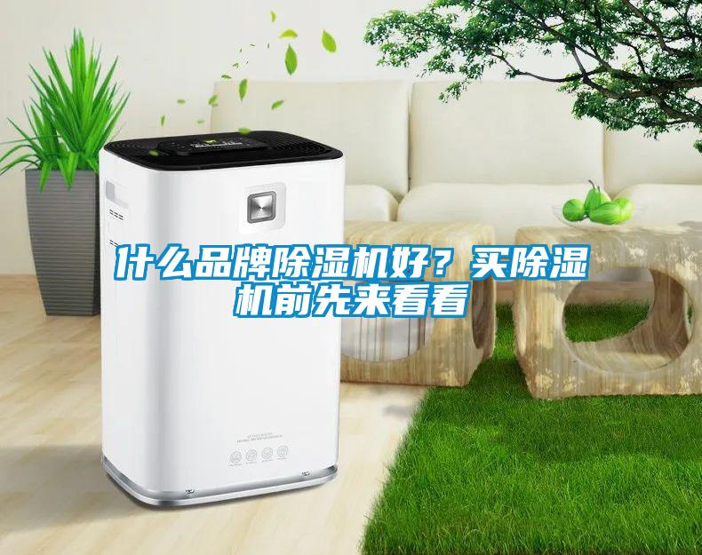 什么品牌除湿机好？买除湿机前先来看看