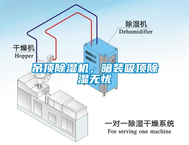 吊顶除湿机，暗装吸顶除湿无忧