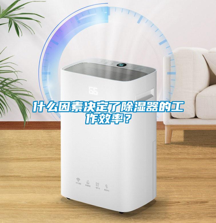 什么因素决定了除湿器的工作效率？