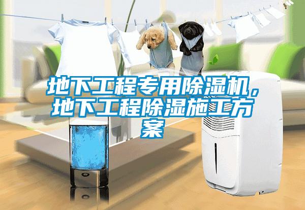 地下工程专用除湿机，地下工程除湿施工方案