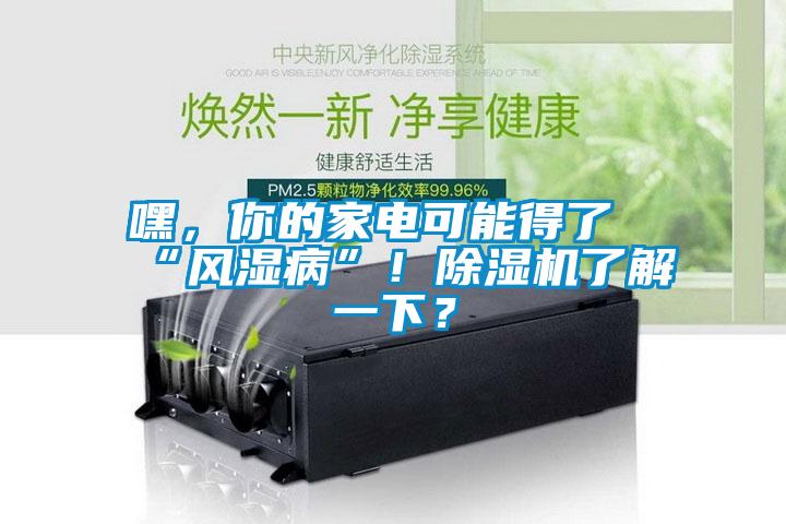 嘿，你的家电可能得了“风湿病”！除湿机了解一下？