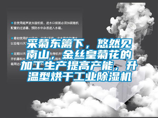 采菊东篱下，悠然见南山，金丝皇菊花的加工生产提高产能，升温型烘干工业除湿机