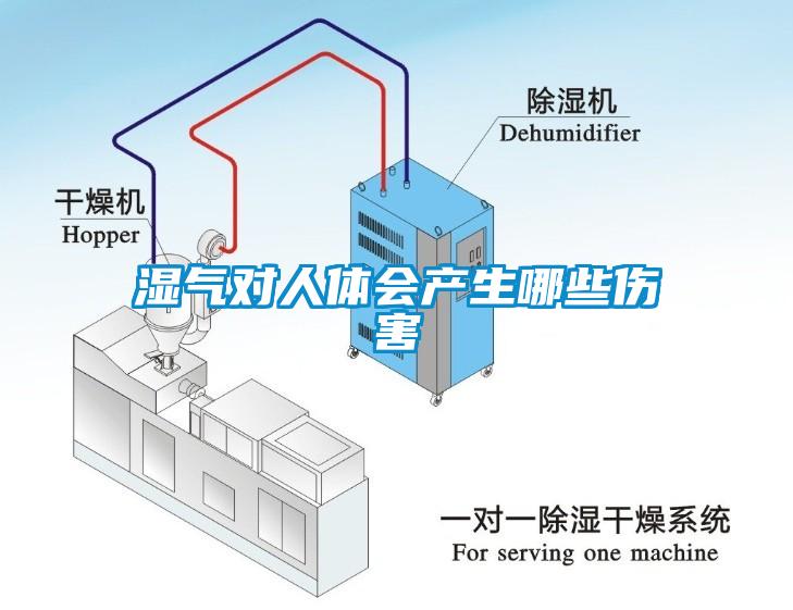 湿气对人体会产生哪些伤害