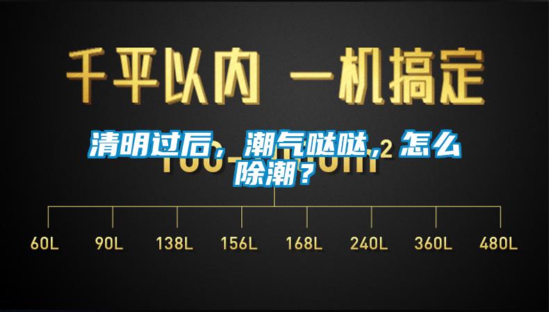 清明过后，潮气哒哒，怎么除潮？