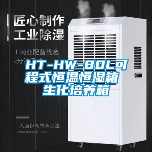 HT-HW-80L可程式恒温恒湿箱 生化培养箱