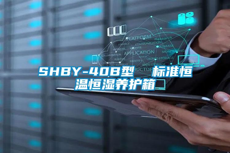 SHBY-40B型  标准恒温恒湿养护箱