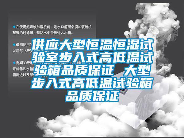 供应大型恒温恒湿试验室步入式高低温试验箱品质保证 大型步入式高低温试验箱品质保证