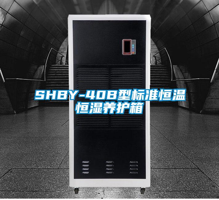 SHBY-40B型标准恒温恒湿养护箱