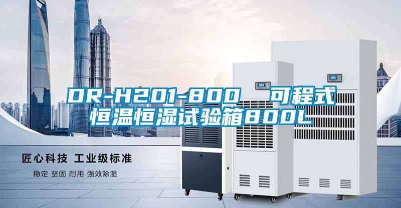 DR-H201-800  可程式恒温恒湿试验箱800L