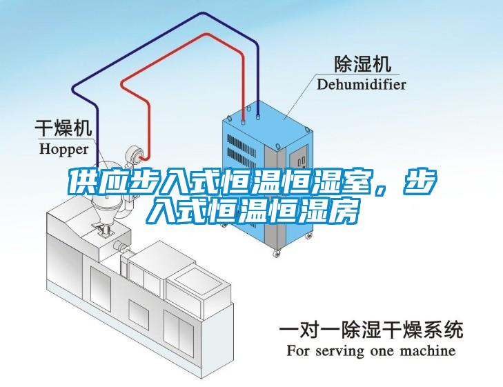 供应步入式恒温恒湿室，步入式恒温恒湿房