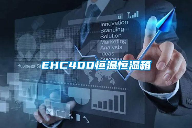 EHC400恒温恒湿箱