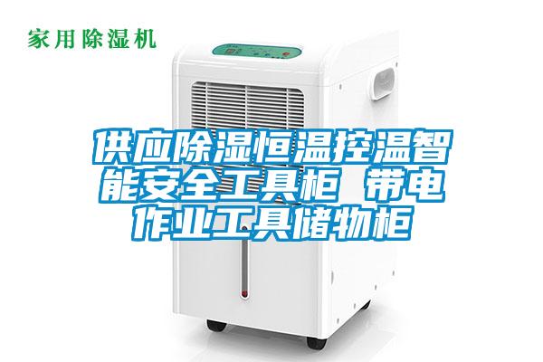 供应除湿恒温控温智能安全工具柜 带电作业工具储物柜