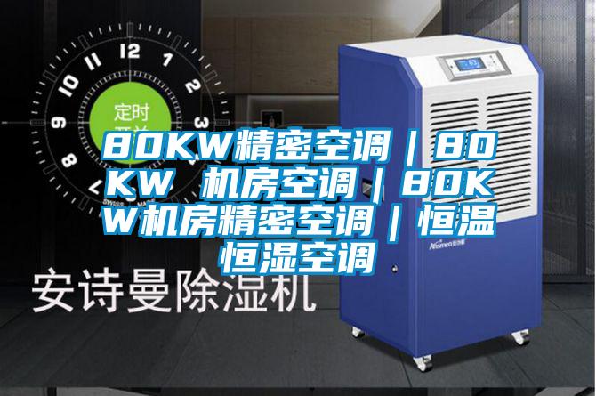 80KW精密空调｜80KW 机房空调｜80KW机房精密空调｜恒温恒湿空调