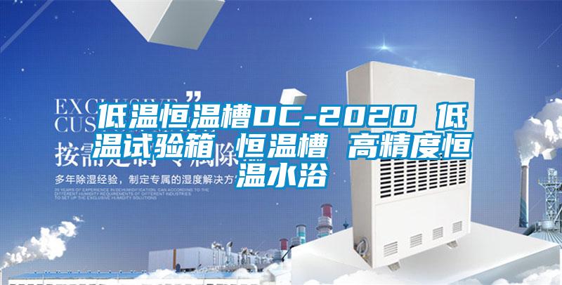 低温恒温槽DC-2020 低温试验箱 恒温槽 高精度恒温水浴