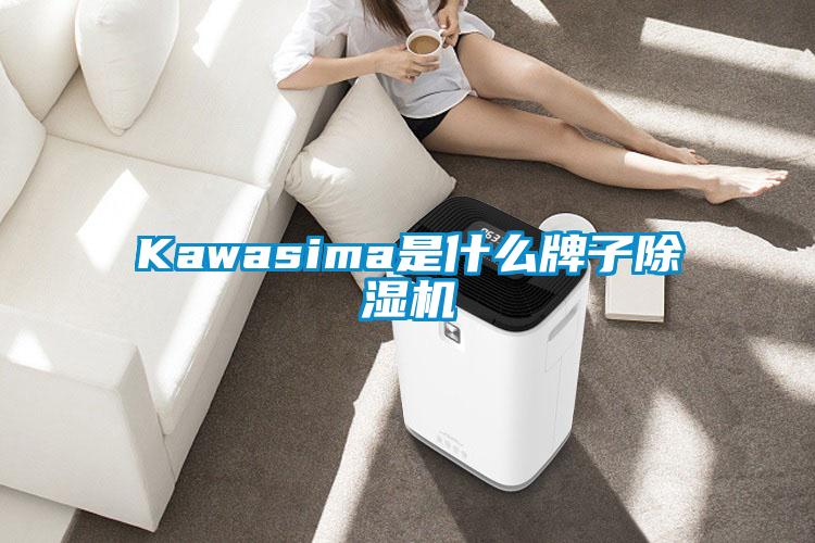 Kawasima是什么牌子除湿机