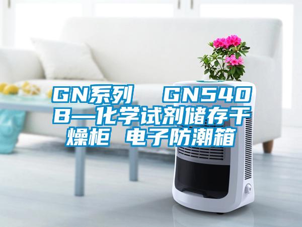 GN系列  GN540B—化学试剂储存干燥柜 电子防潮箱