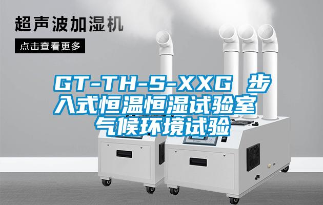 GT-TH-S-XXG 步入式恒温恒湿试验室 气候环境试验