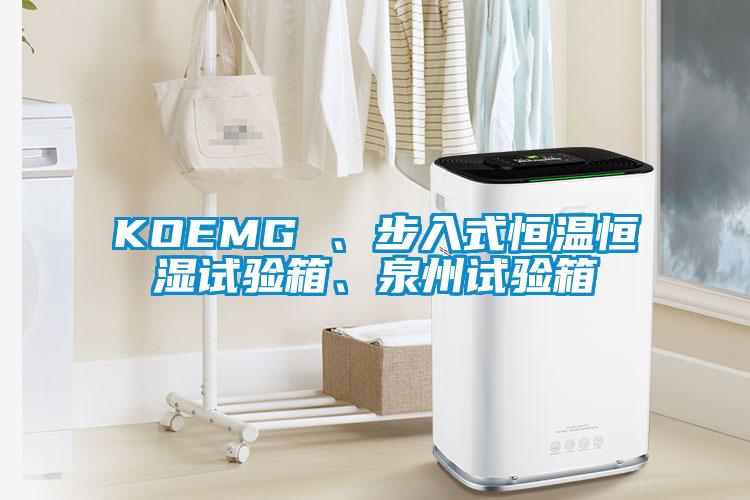 KOEMG 、步入式恒温恒湿试验箱、泉州试验箱