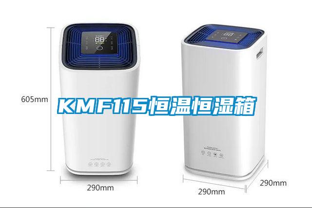 KMF115恒温恒湿箱