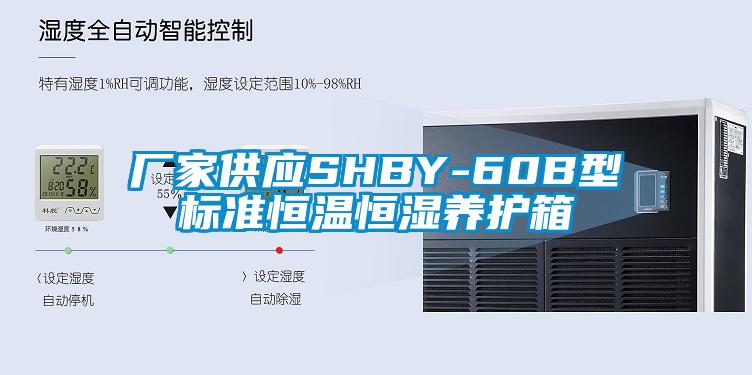 厂家供应SHBY-60B型标准恒温恒湿养护箱