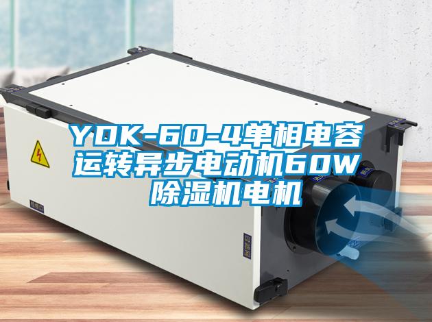 YDK-60-4单相电容运转异步电动机60W 除湿机电机