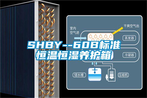 SHBY--60B标准恒温恒湿养护箱