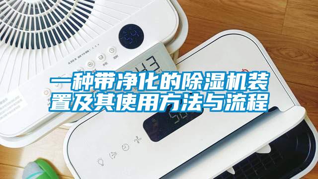 一种带净化的除湿机装置及其使用方法与流程