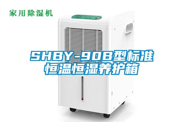 SHBY-90B型标准恒温恒湿养护箱