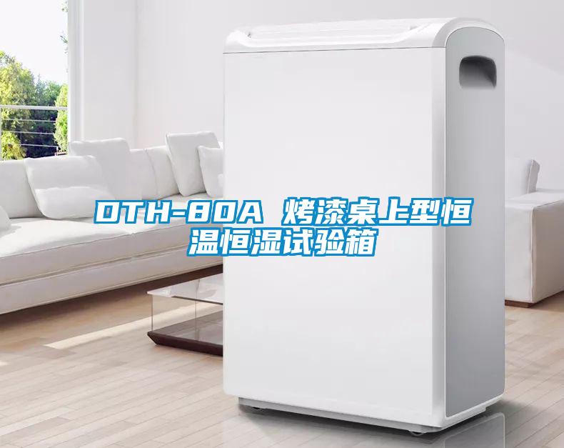 DTH-80A 烤漆桌上型恒温恒湿试验箱