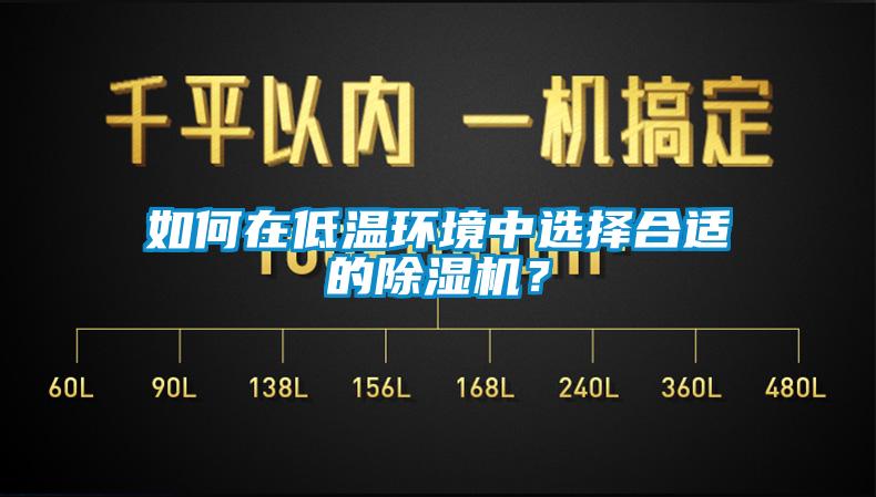 如何在低温环境中选择合适的除湿机？