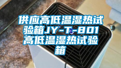 供应高低温湿热试验箱JY-T-801高低温湿热试验箱