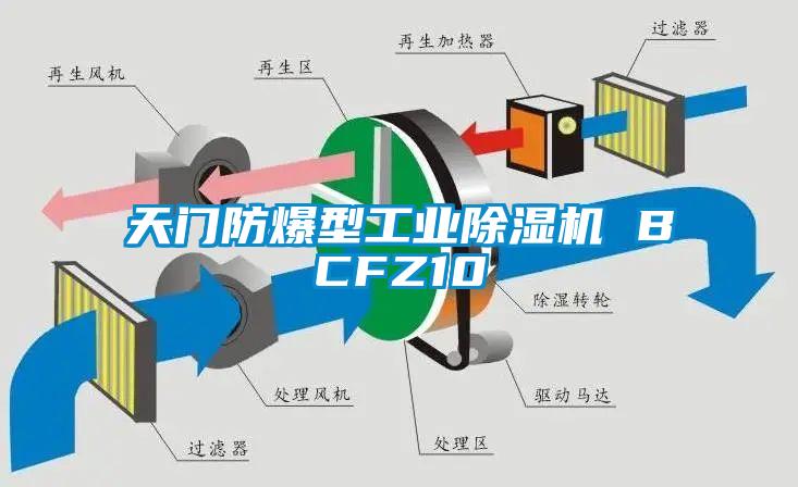 天门防爆型工业除湿机 BCFZ10