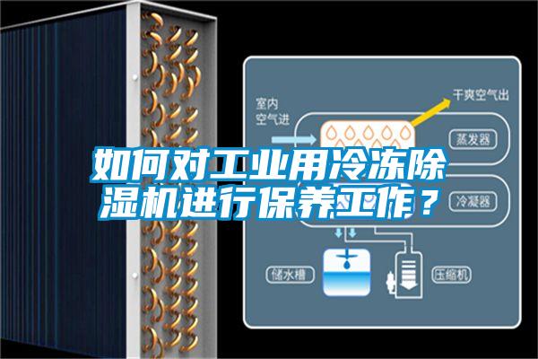 如何对工业用冷冻除湿机进行保养工作？