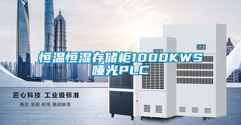 恒温恒湿存储柜1000KWS哑光PLC