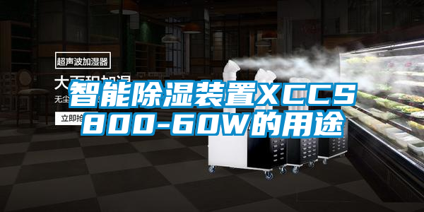 智能除湿装置XCCS800-60W的用途