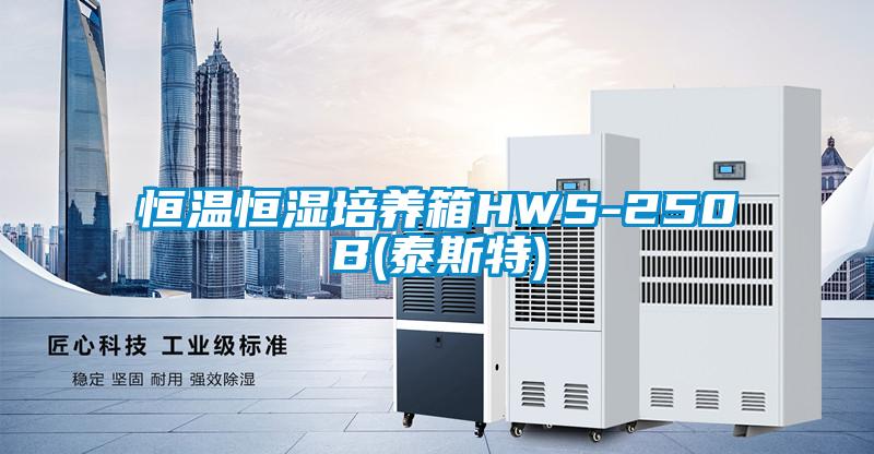 恒温恒湿培养箱HWS-250B(泰斯特)