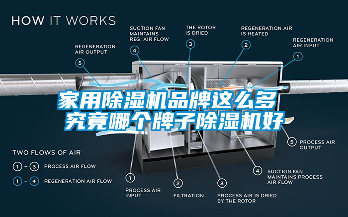 家用除湿机品牌这么多 究竟哪个牌子除湿机好