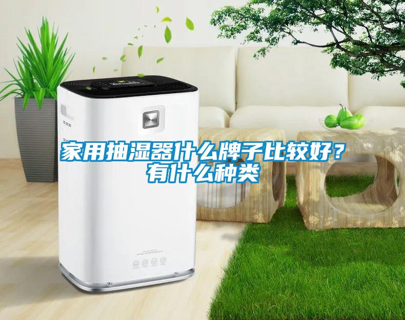 家用抽湿器什么牌子比较好？有什么种类