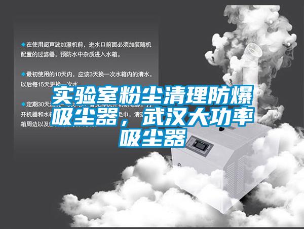 实验室粉尘清理防爆吸尘器，武汉大功率吸尘器