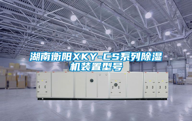 湖南衡阳XKY-CS系列除湿机装置型号