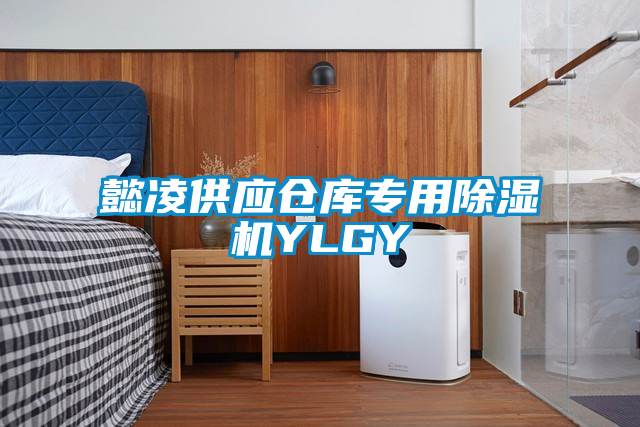 懿凌供应仓库专用除湿机YLGY