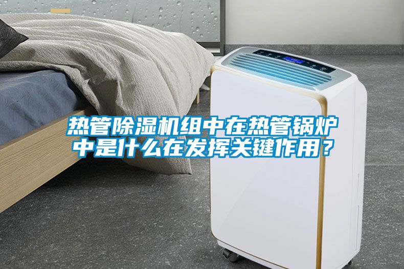 热管除湿机组中在热管锅炉中是什么在发挥关键作用？