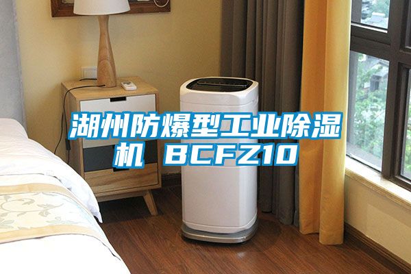 湖州防爆型工业除湿机 BCFZ10