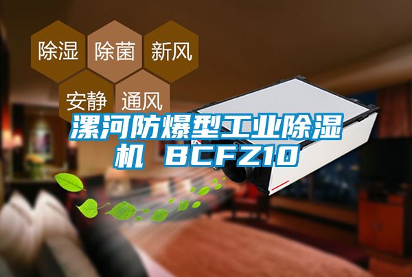 漯河防爆型工业除湿机 BCFZ10