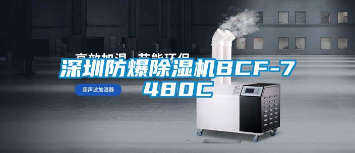 深圳防爆除湿机BCF-7480C