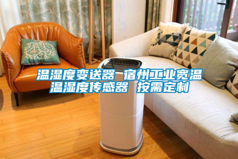 温湿度变送器 宿州工业宽温温湿度传感器 按需定制